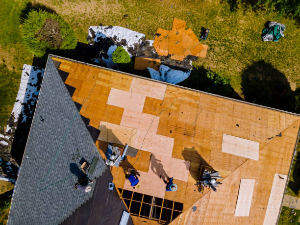 Best Roof Gutter Cleaning  in Caledonia, MS