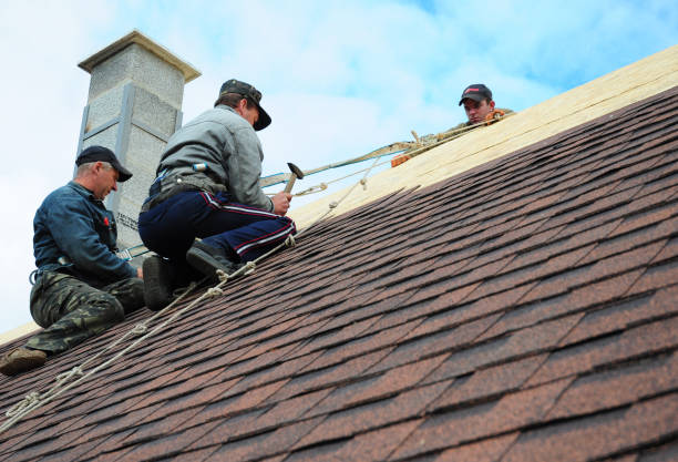 Best Storm Damage Roof Repair  in Caledonia, MS
